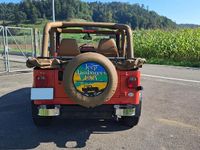 Gebraucht Jeep Wrangler 123 PS (90 kW) 1995 SUV