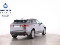 Gebraucht Jaguar F-Pace 250 PS (183 kW) 2020 Grau SUV