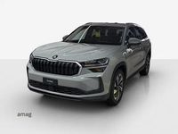 Neu Skoda Kodiaq Dynamic 204 PS (150 kW) 2026 Steel grau, spezial SUV