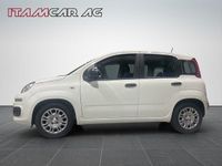Gebraucht Fiat Panda City Life 70 PS (51 kW) 2025 Kleinwagen