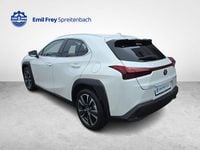 Gebraucht Lexus UX 250h 184 PS (135 kW) 2024 Weiss SUV