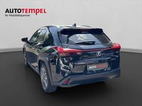 Gebraucht Lexus UX 300e 150 kW (204 PS) 2021 SUV