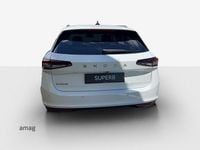 Gebraucht Skoda Superb Selection 150 PS (110 kW) 2024 Purity weiss, uni Kombi