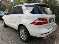 Gebraucht Mercedes ML350 Executive 258 PS (189 kW) 2012 SUV
