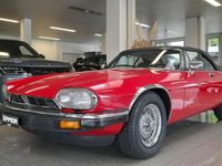 Gebraucht Jaguar XJS 269 PS (197 kW) 1982 Coupé