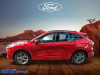 Gebraucht Ford Kuga ST-Line 190 PS (139 kW) 2023 SUV