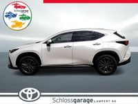 Neu Lexus NX450h+ 309 PS (227 kW) 2025 SUV