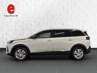 Gebraucht Peugeot 5008 Allure 130 PS (95 kW) 2024 Weiss SUV