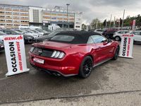 gebraucht Ford Mustang GT Convertible 5.0 449PS V8 Automat