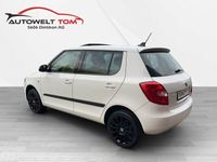 gebraucht Skoda Fabia 1.2 TSI Fresh DSG