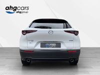 gebraucht Mazda CX-30 2.0 186 Homura AWD