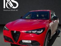 Gebraucht Alfa Romeo Stelvio Premium 280 PS (205 kW) 2024 SUV