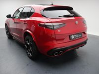 Neu Alfa Romeo Stelvio Quadrifoglio 519 PS (381 kW) 2025 Rot SUV