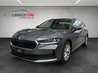Gebraucht Skoda Superb Selection 150 PS (110 kW) 2026 Gray Kombi