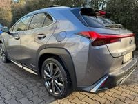 Gebraucht Lexus UX 250h Launch Edition 183 PS (134 kW) 2019 SUV