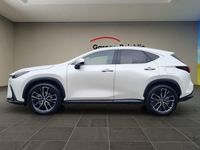 Gebraucht Lexus NX450h+ 309 PS (227 kW) 2024 SUV