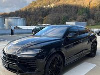 Gebraucht Lamborghini Urus 800 PS (588 kW) 2025 SUV