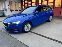 Gebraucht Skoda Octavia Ambition 150 PS (110 kW) 2023 Kombi