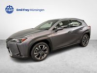 Gebraucht Lexus UX 250h 184 PS (135 kW) 2023 SUV