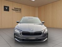 Gebraucht Skoda Octavia Selection 150 PS (110 kW) 2024 Kombi