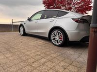 Gebraucht Tesla Model Y Performance 392 kW (534 PS) 2024 SUV
