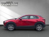 gebraucht Mazda CX-30 SKYACTIV-G 150 M Hybrid FWD Ambition Plus
