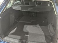 Gebraucht VW Golf VIII Life 150 PS (110 kW) 2024 Kombi