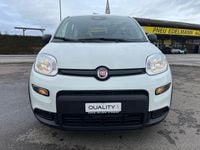 Gebraucht Fiat Panda Cross Cross 70 PS (51 kW) 2024 Kleinwagen