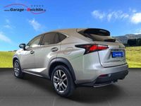 gebraucht Lexus NX300h comfort AWD