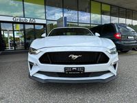 Gebraucht Ford Mustang GT Convertible 451 PS (331 kW) 2023 Weiss Cabrio