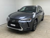 Gebraucht Lexus UX 250h 184 PS (135 kW) 2024 Grau SUV