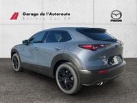 Neu Mazda CX-30 Homura-Line 186 PS (136 kW) 2025 SUV