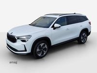 Neu Skoda Kodiaq Dynamic 204 PS (150 kW) 2026 Moon weiss, metallic SUV