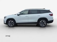 Neu Skoda Kodiaq Dynamic 204 PS (150 kW) 2026 Moon weiss, metallic SUV