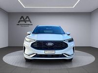 Neu Ford Kuga ST-Line X 242 PS (177 kW) 2025 Weiss SUV