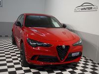 Gebraucht Alfa Romeo Stelvio Quadrifoglio 520 PS (382 kW) 2024 SUV