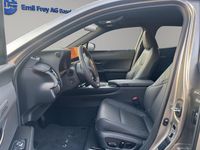 Neu Lexus UX 300h 199 PS (146 kW) 2026 Grau SUV
