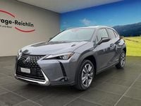 Gebraucht Lexus UX 300e 150 kW (204 PS) 2022 Grau SUV