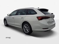 gebraucht Skoda Octavia Ambition mHEV