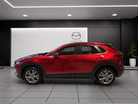 Neu Mazda CX-30 Center-Line 140 PS (102 kW) 2025 Rot SUV
