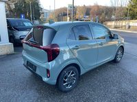 Neu Kia Picanto 79 PS (58 kW) 2026 Grün Kleinwagen