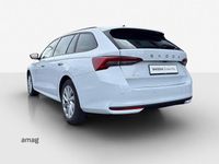 Gebraucht Skoda Octavia Selection 150 PS (110 kW) 2025 Moon weiss, metallic Kombi