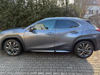Gebraucht Lexus UX 250h Launch Edition 183 PS (134 kW) 2019 SUV