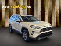Gebraucht Toyota RAV4 Hybrid Comfort 222 PS (163 kW) 2025 SUV
