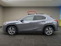Gebraucht Lexus UX 300e 150 kW (204 PS) 2022 Grau SUV