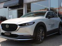 Gebraucht Mazda CX-30 Takumi-Line 186 PS (136 kW) 2025 SUV