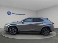 Neu Lexus UX 300h 199 PS (146 kW) 2026 Grau SUV