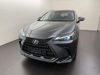 Neu Lexus NX450h+ 292 PS (214 kW) 2026 Grau SUV