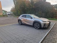 Gebraucht Lexus UX 250h Launch Edition 183 PS (134 kW) 2019 SUV