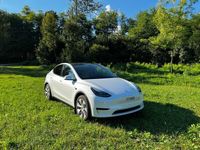Gebraucht Tesla Model Y RWD 219 kW (299 PS) 2023 SUV